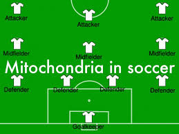 We did not find results for: Soccer Analogy By Doris Mudaliar Roberta Bondar Ps