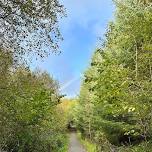 Volunteer Day at Roadford Nature Reserve