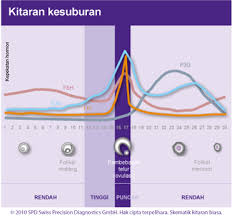Maybe you would like to learn more about one of these? Fahami Proses Ovulasi Dalam Kitaran Haid Anda