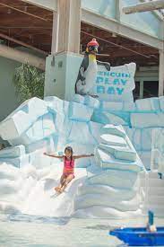 Do you need to book. Aquatopia Indoor Waterpark Slides Activities Camelback