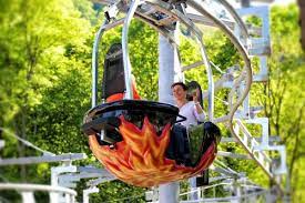 Seit 2020 finden auch anfänger hier eine entspannte sause auf den einsteigerstrecken. Seilbahnen Thale Erlebniswelt Im Harz Harztourist