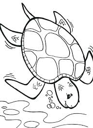 The spruce / wenjia tang take a break and have some fun with this collection of free, printable co. Printable Sea Turtle Coloring Pages For Turtle Coloring Pages Coloring Pages Online Coloring Pages