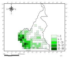 Image result for Pavetta pierlotii