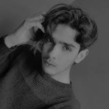 Tariq Ansari (ta7548232)