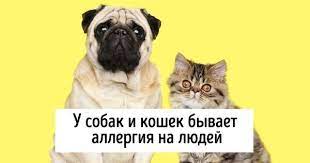 15 neozhidannyh faktov kotorye otkroyut mir zhivotnyh s novoj storony animals dogs movies