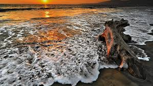 Si usted encuentra uno que este protegido por los derechos de autor, por favor infórmenos para retirarlo. Hd Wallpaper Beaches Puerto Vallarta Beach Mexico Sunset South America Wallpaper Hd 1920 1080 Wallpaper Flare