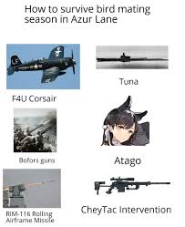 تزاوج الثعلب مع الطيور : R Azurelane Ø¹Ù„Ù‰ ØªÙˆÙŠØªØ± Effective Measures For Your Survival In The Upcoming Bird Mating Season Azurlane Https T Co Tymxbwqhgp