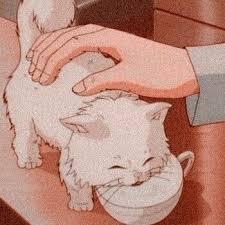 Cats Pets Cute Aesthetic Anime Cartoon Drawings Anime Cat