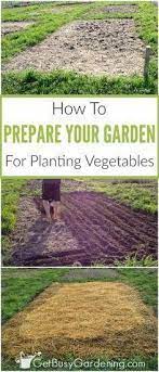 How To Prepare A Garden Bed For Planting Vegetables Garden Layout Vegetable Planting Vegetables Garden Preparation