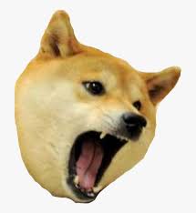 See more 'doge' images on know your meme! Doge Meme Png Picture Angry Dog Meme Template Transparent Png Kindpng