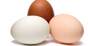 Telur ayam kampung sendiri memiliki ciri khas berupa ukurannya yang lebih kecil jika dibandingkan dengan telur ayam negeri. Ciri Ciri Telur Ayam Negeri Dan Bedanya Dengan Telur Kampung Info Telur Ayam Info Harga Telur Olahan Telur Tetaskan Telur Ayam Manfaat Dan Khasiat Telur Ayam