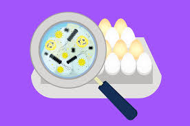 How Long Does Food Poisoning Last Causes Symptoms Treatment