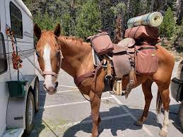 My Horse Dolly And I Loaded Up For A Trip Into The Sierra Nevada Mountains Details In Comment Section Best Camping Gear Horses Sierra Nevada Mountains