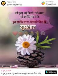 Maybe you would like to learn more about one of these? Good Morning In 2021 Good Morning Friends Images Good Morning Beautiful Quotes Good Morning Beautiful Pictures