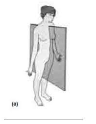 Изображение blank anatomical position diagram. Print Exercise 1 The Language Of Anatomy Flashcards Easy Notecards