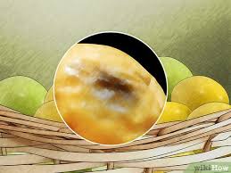 How to tell when passion fruit is ripe the easiest way to tell when passion fruit is ripe is if it is wrinkly. 3 Ways To Tell If A Passion Fruit Is Ripe Wikihow