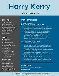 50+ free microsoft word resume templates to download. Account Executive Resume Samples Templates Pdf Doc 2021 Account Executive Resumes Bot