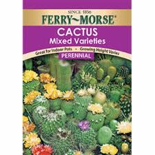 Many people start out with cactus as a gift plant and don't think much about soon the how to propagate cactus or how do i start new plants question gets asked. Qfc Ferry Morse Mixed Variety Cactus Seeds 1 Ct