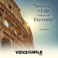 Gladiator What We Do In Life Echoes In Eternity Tattoo What We Do In Life Echoes In Eternity Gladiator Life Spiritual Wisdom Spirituality
