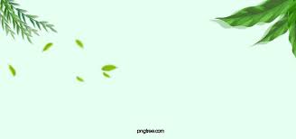 أوراق خضراء طازجة صغيرة بسيطة راية تاوباو الخضراء Simple Background Images Flower Background Images Green Leaves