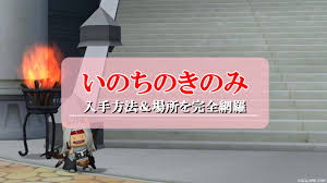 ドラクエ 10 いのち の きのみ