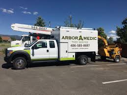 For this reason, we have designed a pest control service plan that will provide the most protective barrier possible around the homes of our customers. Arbor Medic Tree Service Equipment Arbormedic