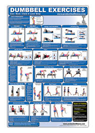 Laminated Dumbbell Exercise Poster Chart Lower Body Core