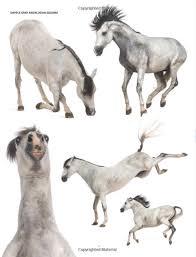 Check spelling or type a new query. Isolated Horse Images For Artists Reference And Inspiration