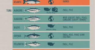 Become An Afishionado Environmentally Sustainable Seafood Choices Healthy Food Branding Sustainable Seafood Seafood