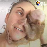 Monkey Hugs Gif By The Dodo Find Share On Giphy The best gifs are on giphy. monkey hugs gif by the dodo find