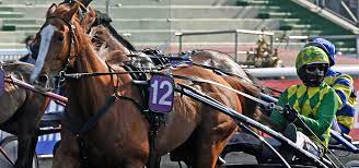 Elitloppet 2021 betting predictions at online sportsbooks in sweden also show you many of the horses you can bet on in the v75. Elitloppet 2021 28 30 Maj Solvalla Travbana