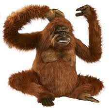 Free orangutan cliparts, download free clip art, free clip. Gorilla Clipart Orangutan Gorilla Orangutan Transparent Free For Download On Webstockreview 2021