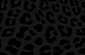 Dark Leopard Print Wallpaper Muralswallpaper In 2021 Leopard Print Wallpaper Cheetah Print Wallpaper Print Wallpaper