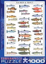 Fishing Crankbaits Lures From China Fishing Xp Minecraft Fishing 800 Wow Walleye Fishing Lures Fishi Fishing Lures Walleye Fishing Lures Fishing Tips