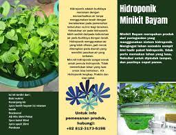 Termurah Wa 62 812 3173 5198 Jual Peralatan Hidroponik Gresik Hidroponik Tanaman Menanam