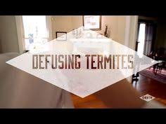 Terminix miami exterminators, termite, & pest control. 36 Scientific Fact Or Scientific Fake Ideas Orkin This Or That Questions Scientific