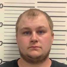 Polatis pleads guilty to indecent exposure charge