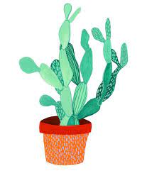 Aprende cuál es la mejor manera de propagar las suculentas desde sus hojas. Cactus Y Suculentas Para Imprimir Cactus Y Suculentas Cactus Cactus Dibujo