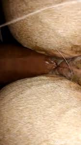 Dude puts his dick in a mares wet pussy and cums inside