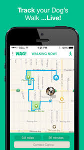 When you don't know what happened, your mind fills the empty space with worst case scenarios that play over and over. Dog Exercising Apps Wag Dog Walking App