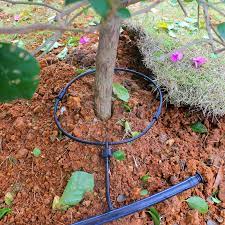 It's wise to install drip irrigation for fruit tree, because most fruit trees require substantial amounts of water for new growth and fruit development. Buy Hong Chen Yongquan Shunt Tube Drip Irrigation Drip Irrigation Automatic Drip Irrigation Microjet Irrigation Equipment Gardening Fruit Trees In Cheap Price On Alibaba Com
