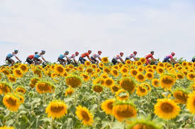 L'australien caleb ewan (lotto soudal) a remporté au sprint la 11e étape du tour de france (worldtour) disputée sur 167km mercredi entre albi et. Tour De France A L Assaut Des Pyrenees Les Temps Forts De L Etape Toulouse Bagneres De Bigorre Actu Toulouse