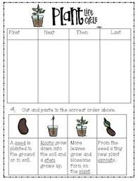 Plant Life Cycle Freebie Plant Life Cycle Science Lessons First Grade Science