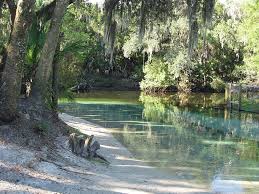 Maybe you would like to learn more about one of these? Lithia Springs Camp At This Cool Secluded Park Near Tampa