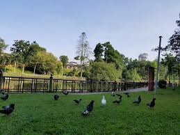 Whether you want to experience the city like a tourist or follow the locals, check out this great resource for your trip. Tripify Bukit Kiara Federal Park Kuala Lumpur