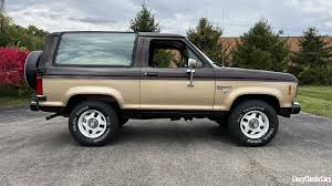 Image result for Brown 1987 Fleet