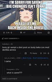 Search more hd transparent funny anime image on kindpng. Cursed Anime Cursedcomments