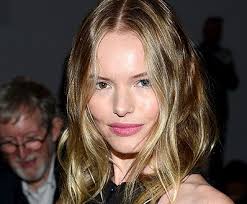 Homefront is a 2013 american action thriller film directed by gary fleder, written by sylvester stallone and released nationwide in theaters on november 27. Kate Bosworth Set To Play James Franco S Sister In Homefront The Fan Carpet