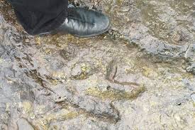 Holyoke Public Schools End Of Receivership Request Deferred; Superintendent  Reacts