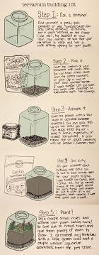 Protected Blog Log In Build A Terrarium Garden Terrarium Succulent Terrarium